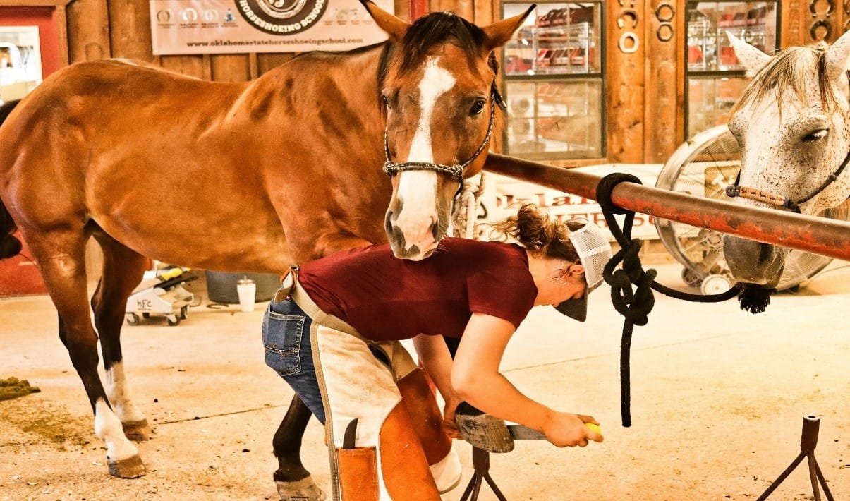 Graduation Requirements Oklahoma State Horseshoeing School